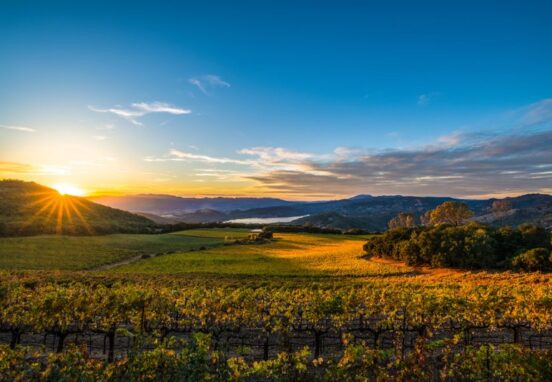 Luxury Napa Valley - wine train and private tour